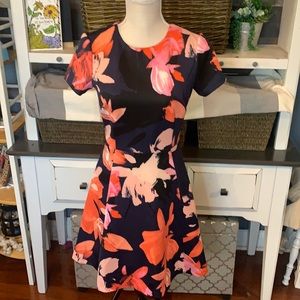 Vince Camuto Floral Fit & Flare Dress Size 4